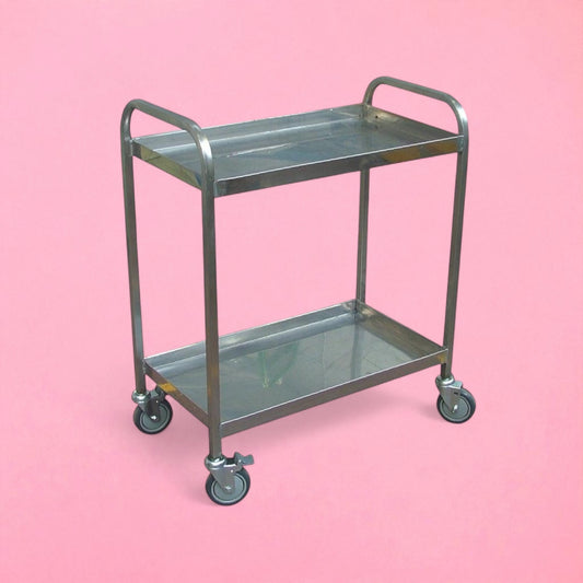 2 tier flat shelf stainless steel trolley with handles