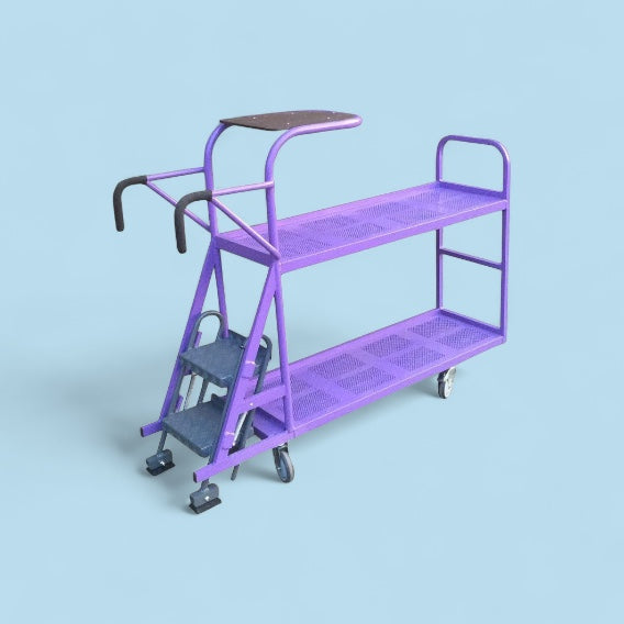 Industrial step trolley