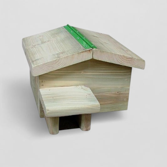 Hedgehog house with camera