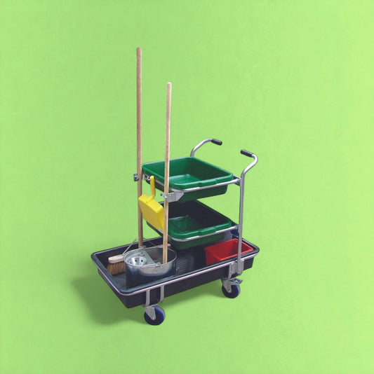 Multipurpose cleaning trolley