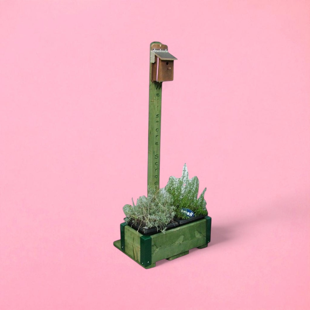 Nesting box with camera