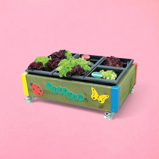 Foundation stage rectangular garden planter box